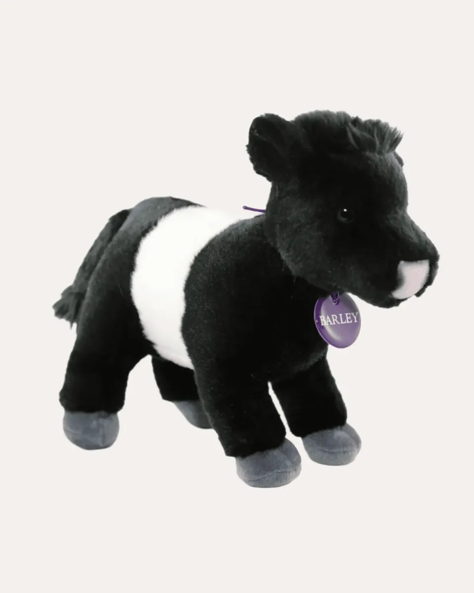 Annandale Barley Beltie bamse plys gave