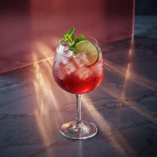 Bols Creme de Cassis Spritz cocktail solbær