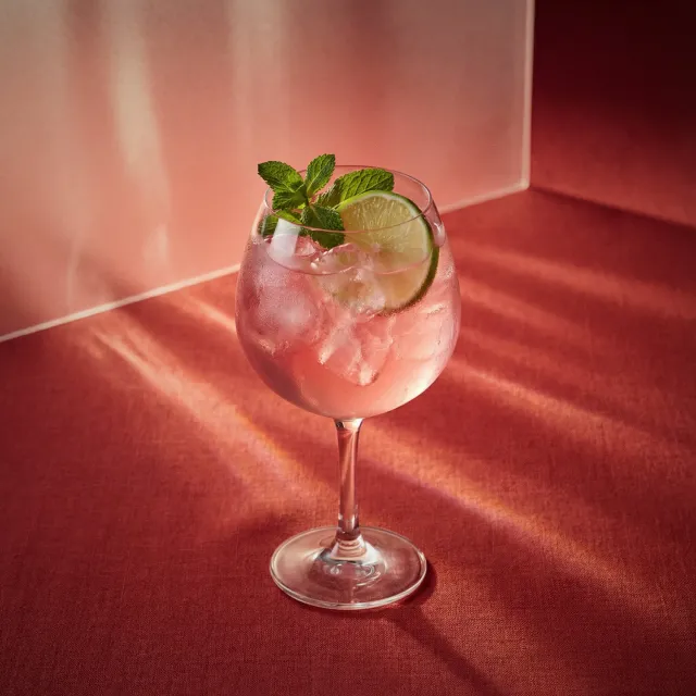 Bols Watermelon Spritz cocktail vandmelon