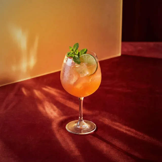 Bols Dry Orange Spritz cocktail citrus